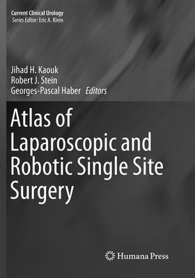 Kaouk / Haber / Stein | Atlas of Laparoscopic and Robotic Single Site Surgery | Buch | 978-1-4939-8082-6 | sack.de