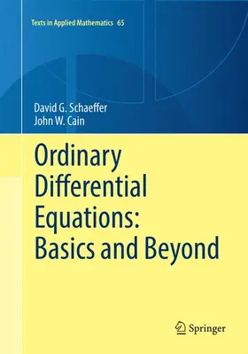 Cain / Schaeffer |  Ordinary Differential Equations: Basics and Beyond | Buch |  Sack Fachmedien