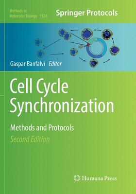 Banfalvi | Cell Cycle Synchronization | Buch | 978-1-4939-8248-6 | sack.de