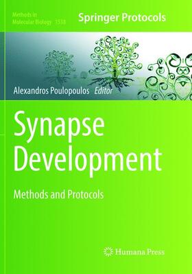 Poulopoulos | Synapse Development | Buch | 978-1-4939-8273-8 | sack.de
