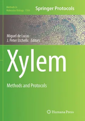 de Lucas / Etchhells | Xylem | Buch | 978-1-4939-8282-0 | www.sack.de