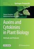 Naseem / Dandekar |  Auxins and Cytokinins in Plant Biology | Buch |  Sack Fachmedien