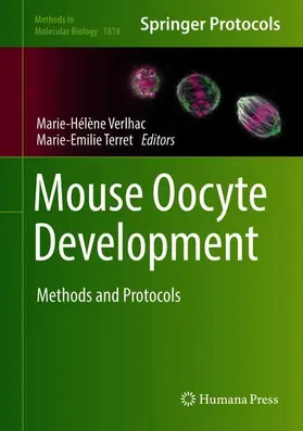 Verlhac / Terret | Mouse Oocyte Development | Buch | 978-1-4939-8602-6 | www.sack.de