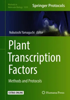 Yamaguchi |  Plant Transcription Factors | Buch |  Sack Fachmedien