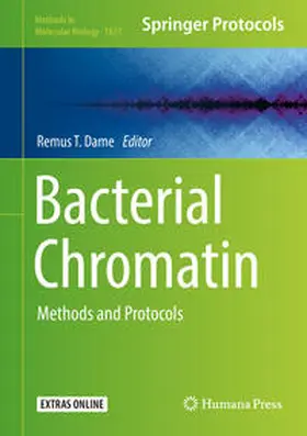 Dame |  Bacterial Chromatin | eBook | Sack Fachmedien