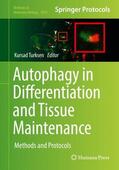 Turksen |  Autophagy in Differentiation and Tissue Maintenance | Buch |  Sack Fachmedien
