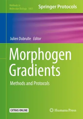Dubrulle |  Morphogen Gradients | Buch |  Sack Fachmedien