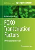 Link |  FOXO Transcription Factors | Buch |  Sack Fachmedien
