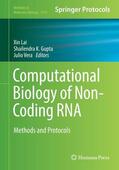 Lai / Vera / Gupta |  Computational Biology of Non-Coding RNA | Buch |  Sack Fachmedien