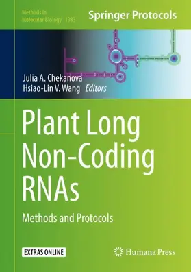 Wang / Chekanova |  Plant Long Non-Coding RNAs | Buch |  Sack Fachmedien