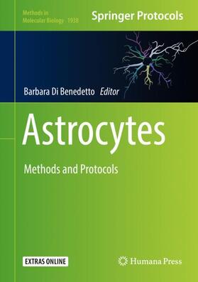 Di Benedetto | Astrocytes | Buch | 978-1-4939-9067-2 | sack.de