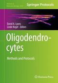 Kegel / Lyons |  Oligodendrocytes | Buch |  Sack Fachmedien
