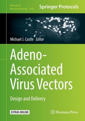 Castle | Adeno-Associated Virus Vectors | Buch | 978-1-4939-9138-9 | sack.de