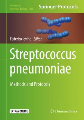 Iovino |  Streptococcus pneumoniae | Buch |  Sack Fachmedien