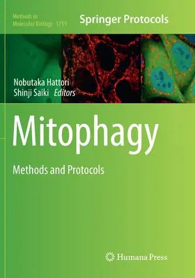 Saiki / Hattori |  Mitophagy | Buch |  Sack Fachmedien