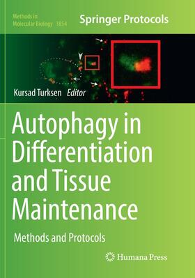 Turksen |  Autophagy in Differentiation and Tissue Maintenance | Buch |  Sack Fachmedien