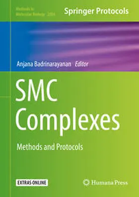 Badrinarayanan |  SMC Complexes | eBook | Sack Fachmedien
