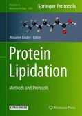 Linder |  Protein Lipidation | Buch |  Sack Fachmedien