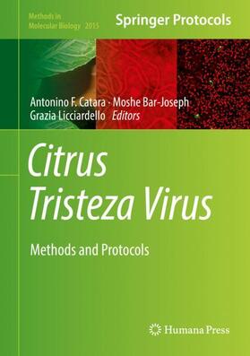Catara / Licciardello / Bar-Joseph | Citrus Tristeza Virus | Buch | 978-1-4939-9557-8 | sack.de