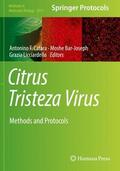 Catara / Licciardello / Bar-Joseph |  Citrus Tristeza Virus | Buch |  Sack Fachmedien
