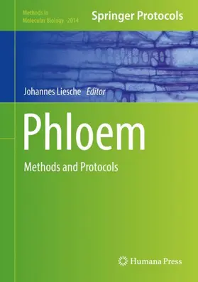 Liesche |  Phloem | Buch |  Sack Fachmedien
