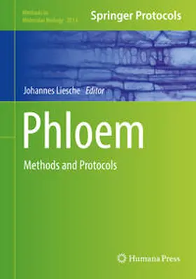 Liesche |  Phloem | eBook | Sack Fachmedien