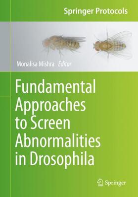 Mishra | Fundamental Approaches to Screen Abnormalities in Drosophila | Buch | 978-1-4939-9755-8 | sack.de