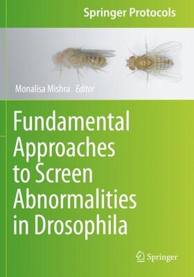 Mishra | Fundamental Approaches to Screen Abnormalities in Drosophila | Buch | 978-1-4939-9758-9 | sack.de