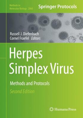 Fraefel / Diefenbach | Herpes Simplex Virus | Buch | 978-1-4939-9813-5 | sack.de