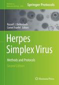 Fraefel / Diefenbach |  Herpes Simplex Virus | Buch |  Sack Fachmedien