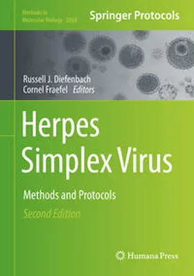 Diefenbach / Fraefel |  Herpes Simplex Virus | eBook | Sack Fachmedien