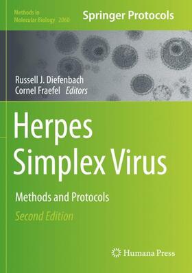 Diefenbach / Fraefel | Herpes Simplex Virus | Buch | 978-1-4939-9816-6 | sack.de