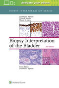 Epstein / Reuter / Amin |  Epstein, J: Biopsy Interpretation of the Bladder | Buch |  Sack Fachmedien