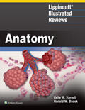 Harrell / Dudek |  Lippincott Illustrated Review: Anatomy | Buch |  Sack Fachmedien