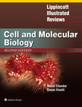 Chandar / Viselli |  Lippincott Illustrated Reviews: Cell and Molecular Biology | Buch |  Sack Fachmedien