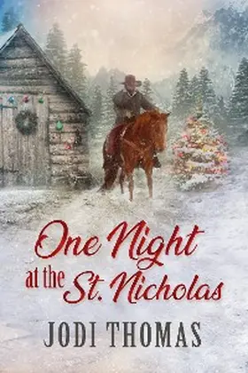 Thomas |  One Night at the St. Nicholas | eBook | Sack Fachmedien