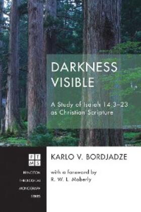 Bordjadze |  Darkness Visible | eBook | Sack Fachmedien