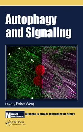 Wong | Autophagy and Signaling | Buch | 978-1-4987-3189-8 | sack.de