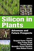 Tripathi / Singh / Ahmad |  Silicon in Plants | Buch |  Sack Fachmedien