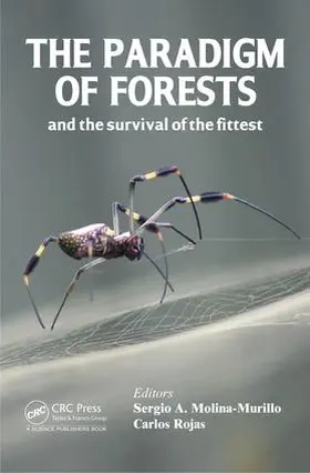 Molina-Murillo / Alvarado |  The Paradigm of Forests and the Survival of the Fittest | Buch |  Sack Fachmedien