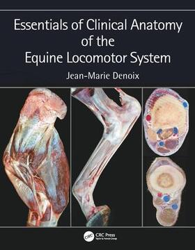 Denoix | Essentials of Clinical Anatomy of the Equine Locomotor System | Buch | 978-1-4987-5441-5 | sack.de