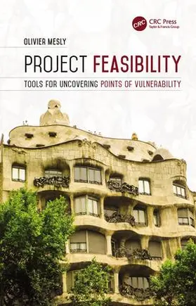 Mesly |  Project Feasibility | Buch |  Sack Fachmedien