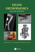 Scott / Marti / Witte |  Feline Orthopaedics | Buch |  Sack Fachmedien