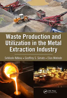 Ndlovu / Simate / Matinde |  Waste Production and Utilization in the Metal Extraction Industry | Buch |  Sack Fachmedien