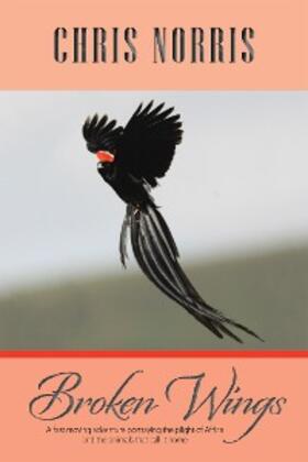 Norris |  Broken Wings | eBook | Sack Fachmedien