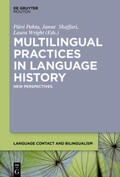 Pahta / Skaffari / Wright |  Multilingual Practices in Language History | Buch |  Sack Fachmedien