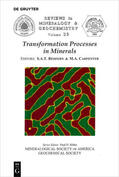 Redfern / Carpenter |  Transformation Processes in Minerals | eBook | Sack Fachmedien