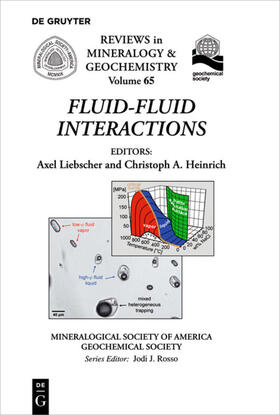 Liebscher / Heinrich | Fluid-Fluid Interactions | E-Book | sack.de