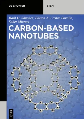 Hernández Sánchez / Castro Portillo / Mirzaei | Carbon-Based Nanotubes | E-Book | sack.de