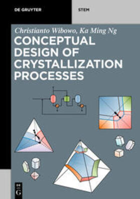 Wibowo / Ng | Conceptual Design of Crystallization Processes | E-Book | sack.de